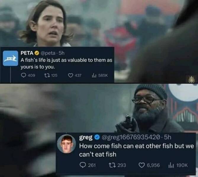 Funny Picdump Funny Picdump