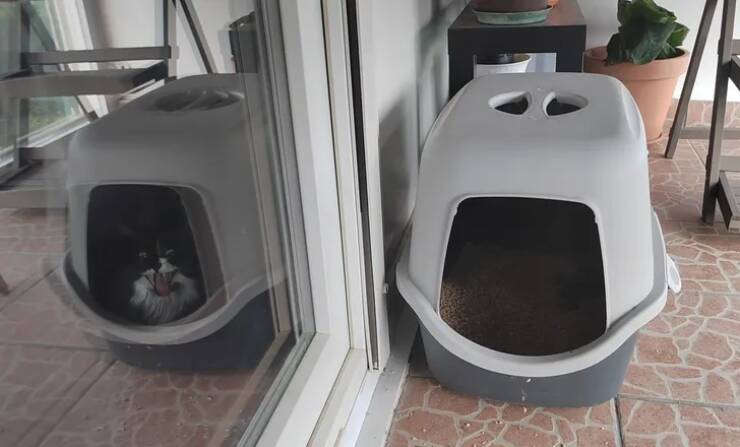 Images That Will Break Your Brain