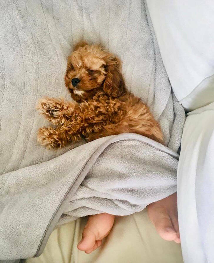 Images That Will Break Your Brain