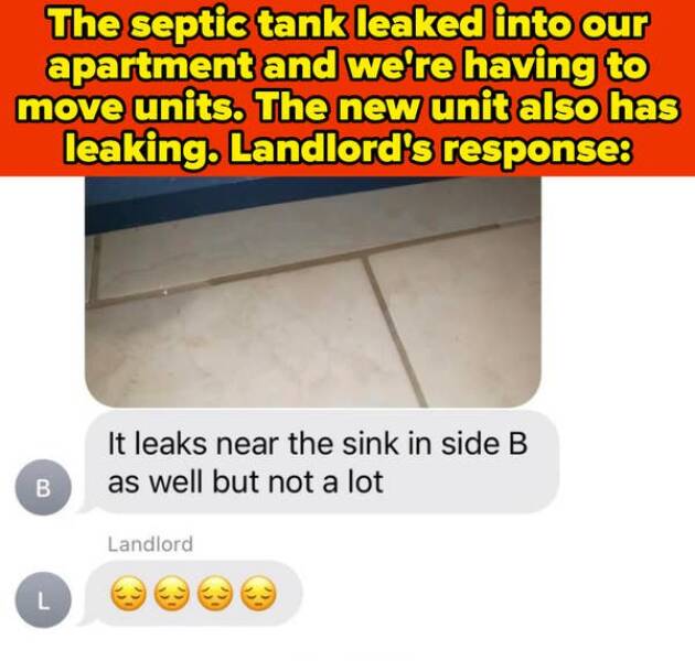 Landlords So Bad They’d Be Fired Before Lunch On A Real Job