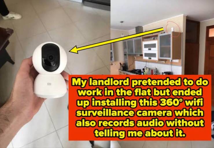 Landlords So Bad They’d Be Fired Before Lunch On A Real Job