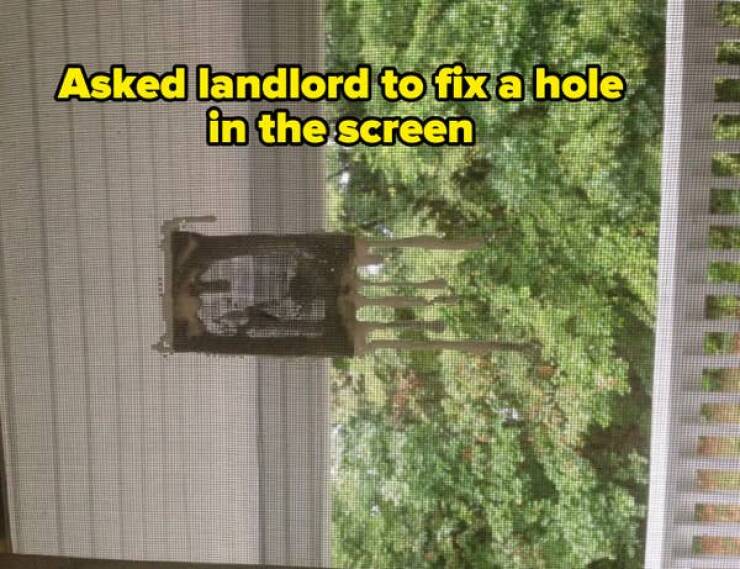 Landlords So Bad They’d Be Fired Before Lunch On A Real Job