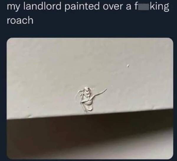 Landlords So Bad They’d Be Fired Before Lunch On A Real Job