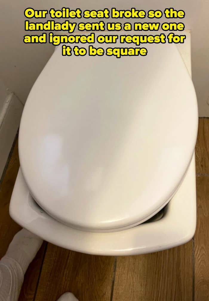 Landlords So Bad They’d Be Fired Before Lunch On A Real Job