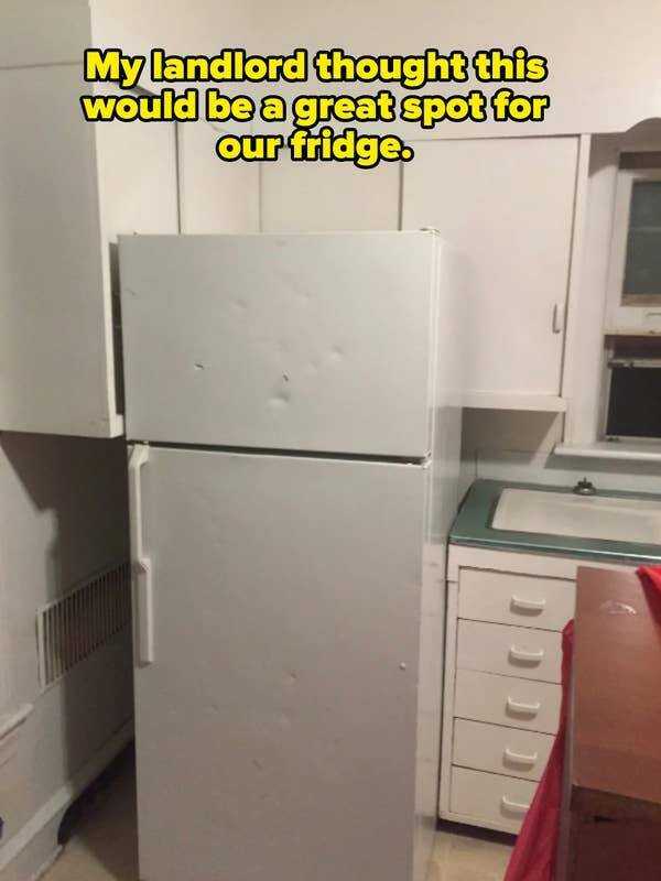 Landlords So Bad They’d Be Fired Before Lunch On A Real Job