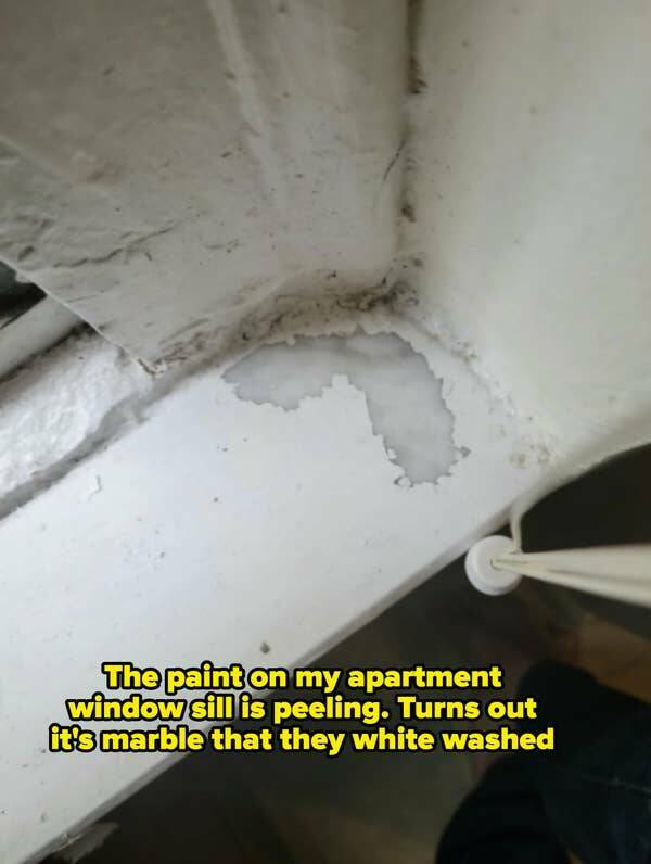 Landlords So Bad They’d Be Fired Before Lunch On A Real Job