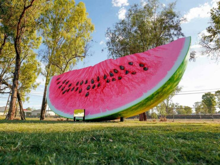 Morning Picdump Morning Picdump