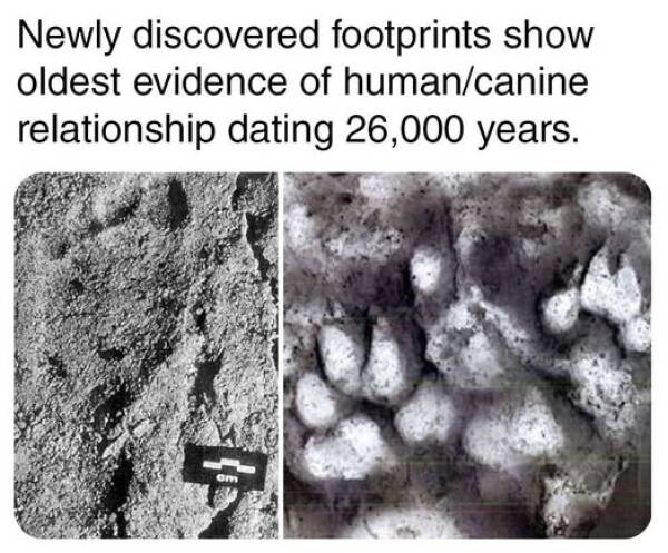 Morning Picdump Morning Picdump