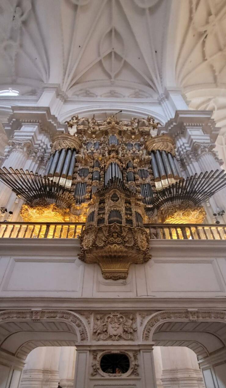 Morning Picdump Morning Picdump