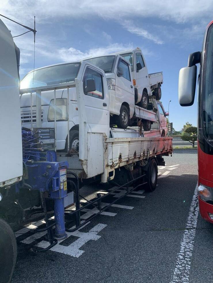 Morning Picdump Morning Picdump