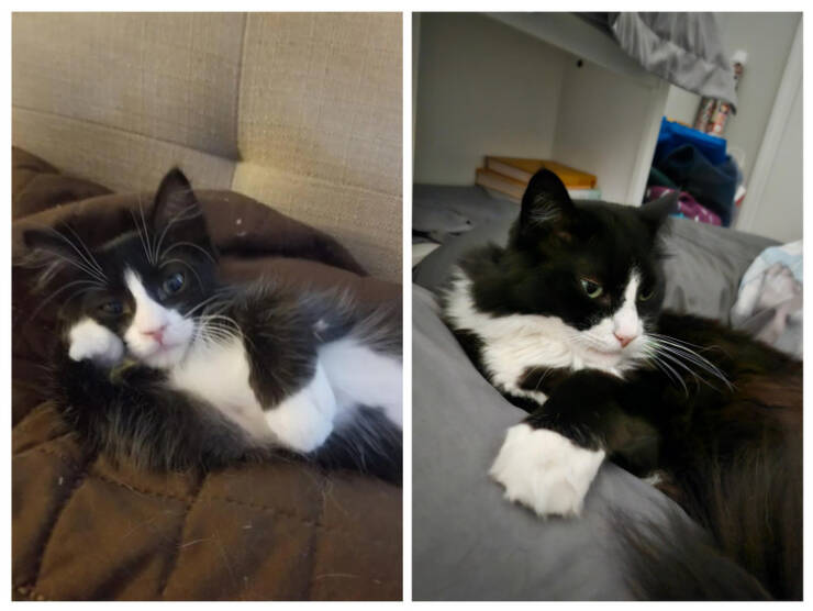 Moments That Prove Time Waits for No One