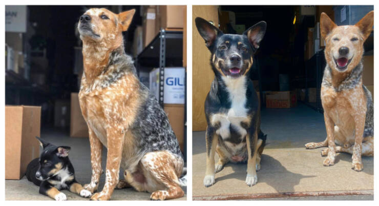 Moments That Prove Time Waits for No One