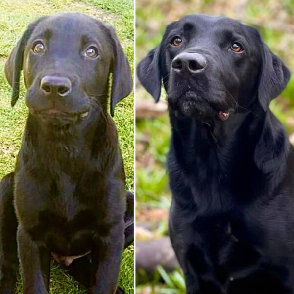 Moments That Prove Time Waits for No One