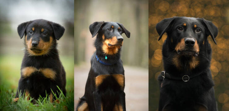 Moments That Prove Time Waits for No One