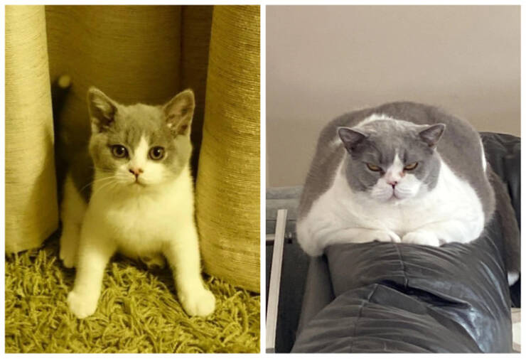 Moments That Prove Time Waits for No One