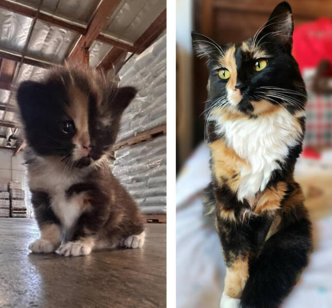 Moments That Prove Time Waits for No One