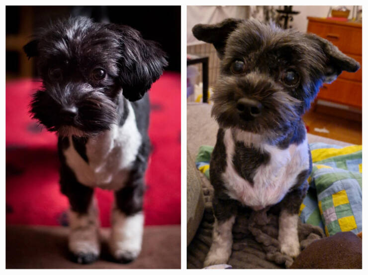 Moments That Prove Time Waits for No One