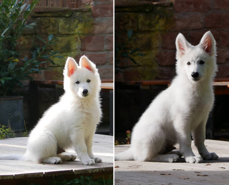 Moments That Prove Time Waits for No One