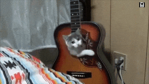 Daily Gifdump Daily Gifdump