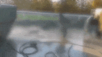 Daily Gifdump Daily Gifdump