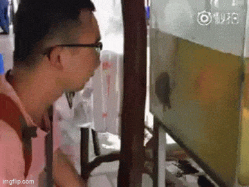 Daily Gifdump Daily Gifdump