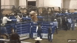 Daily Gifdump Daily Gifdump