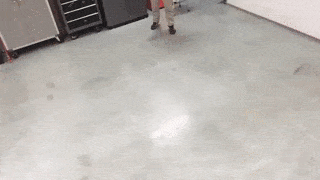 Daily Gifdump Daily Gifdump