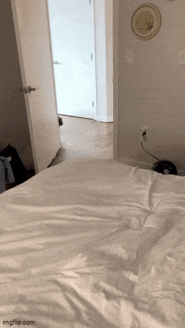 Daily Gifdump Daily Gifdump