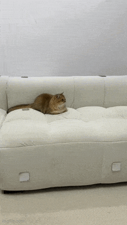 Daily Gifdump Daily Gifdump