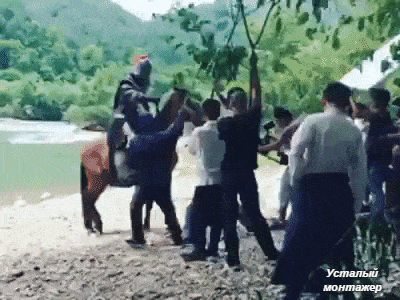 Daily Gifdump Daily Gifdump