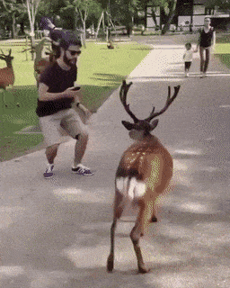 Daily Gifdump Daily Gifdump