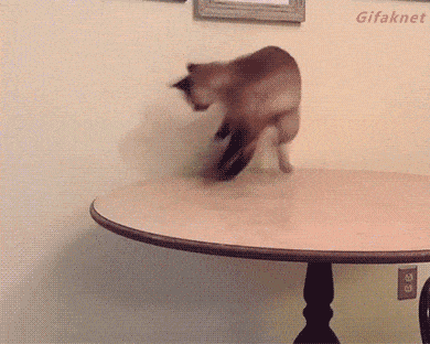 Daily Gifdump Daily Gifdump