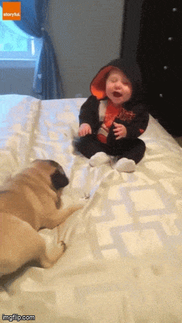 Daily Gifdump Daily Gifdump