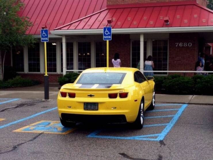 Daily Picdump Daily Picdump