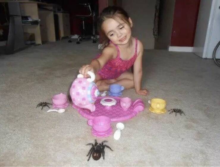 Daily Picdump Daily Picdump