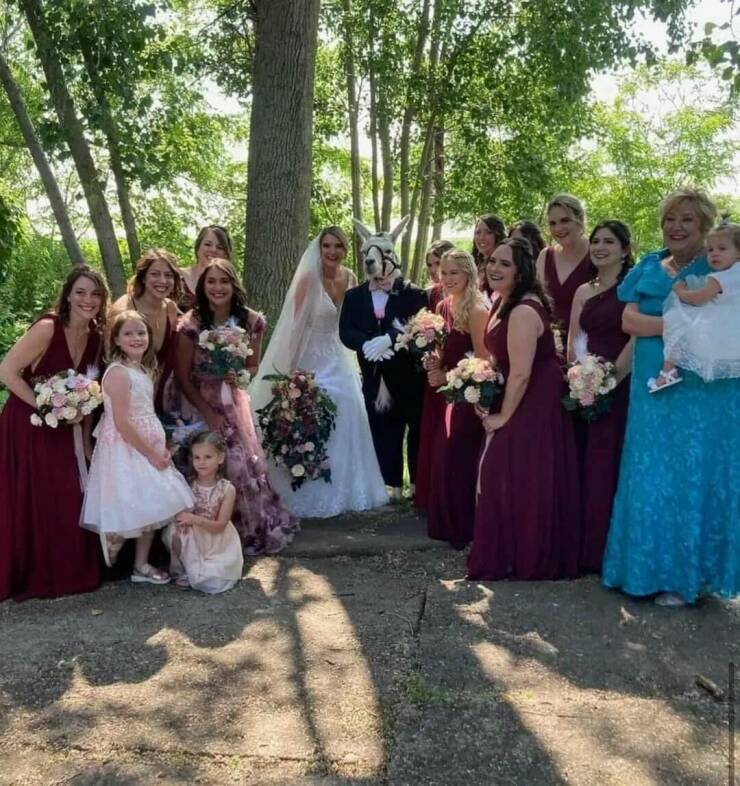 Daily Picdump Daily Picdump