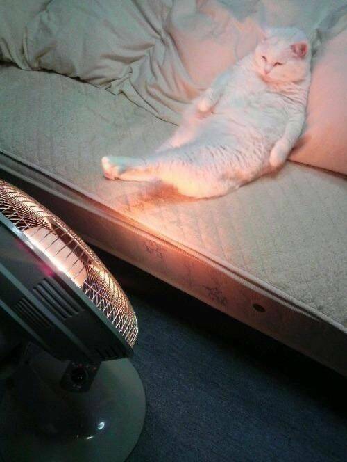 Daily Picdump Daily Picdump