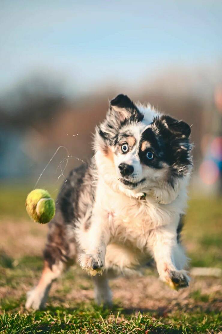 Daily Picdump Daily Picdump