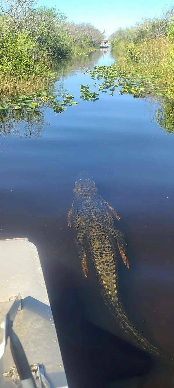 Daily Picdump Daily Picdump