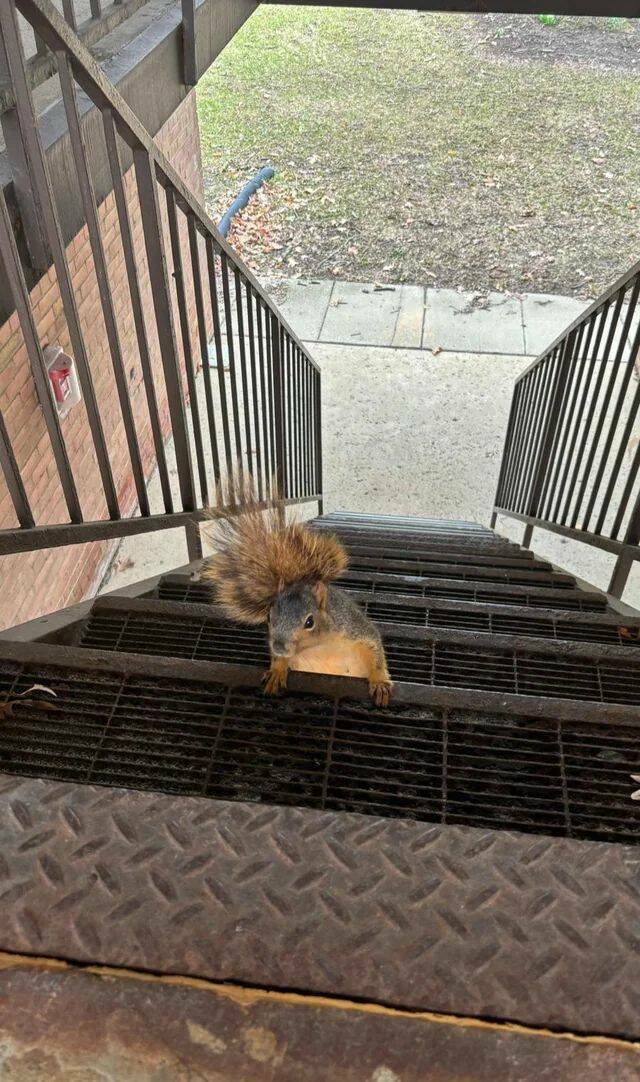 Daily Picdump Daily Picdump