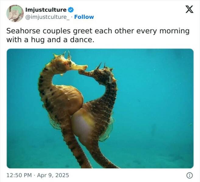 Enthralling Reads For The Wonder Seekers