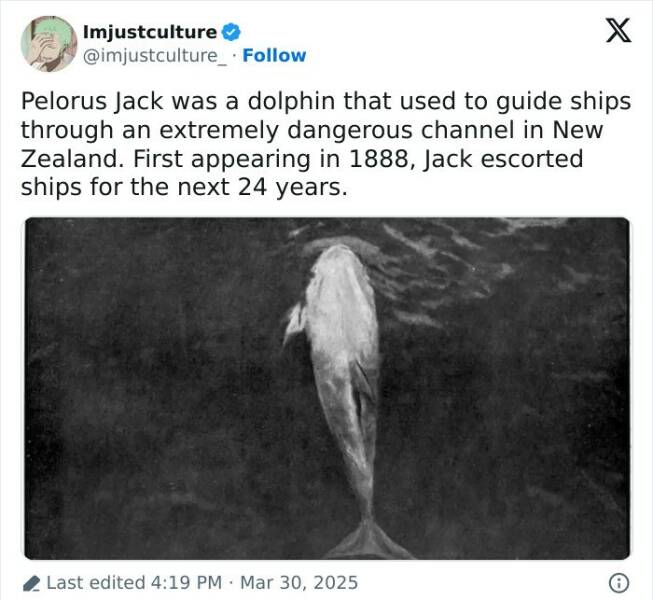 Enthralling Reads For The Wonder Seekers