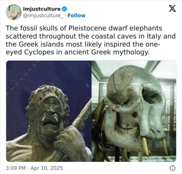 Enthralling Reads For The Wonder Seekers