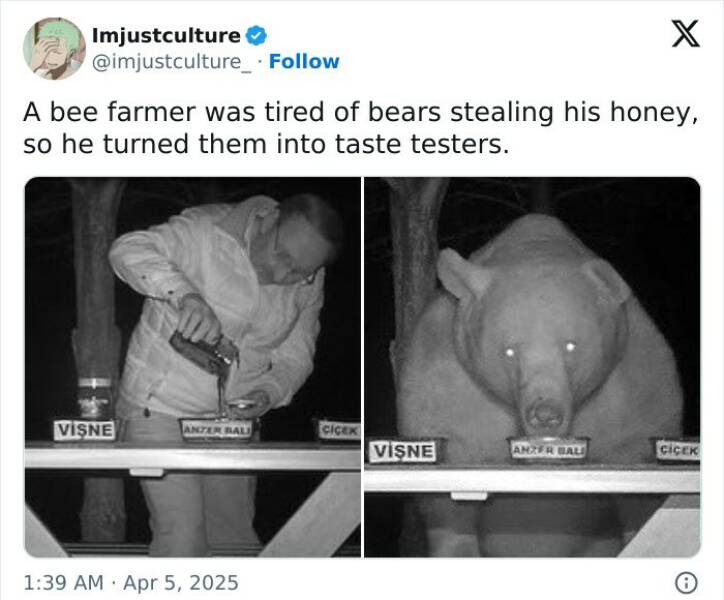 Enthralling Reads For The Wonder Seekers