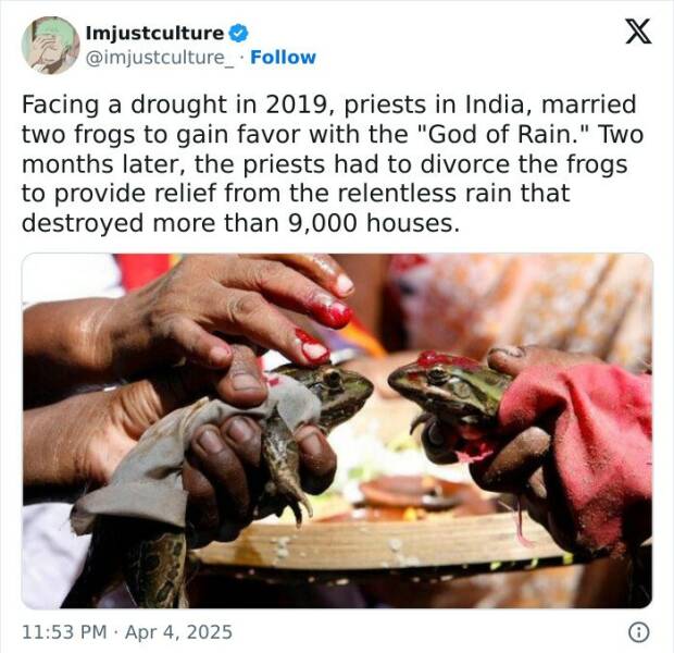 Enthralling Reads For The Wonder Seekers