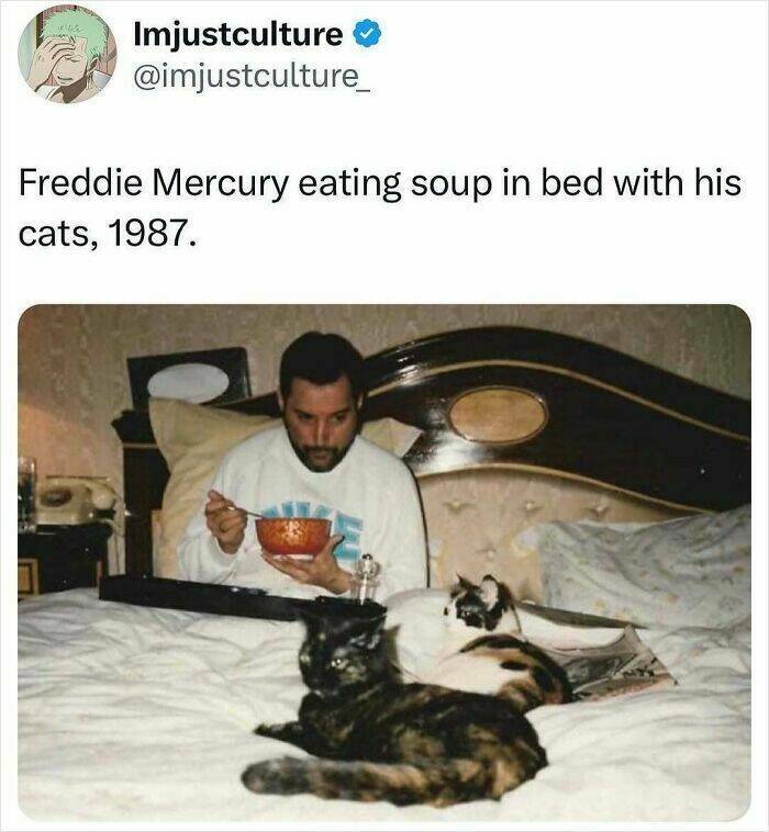 Enthralling Reads For The Wonder Seekers