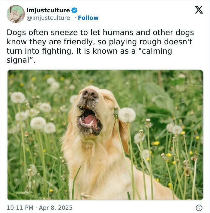 Enthralling Reads For The Wonder Seekers