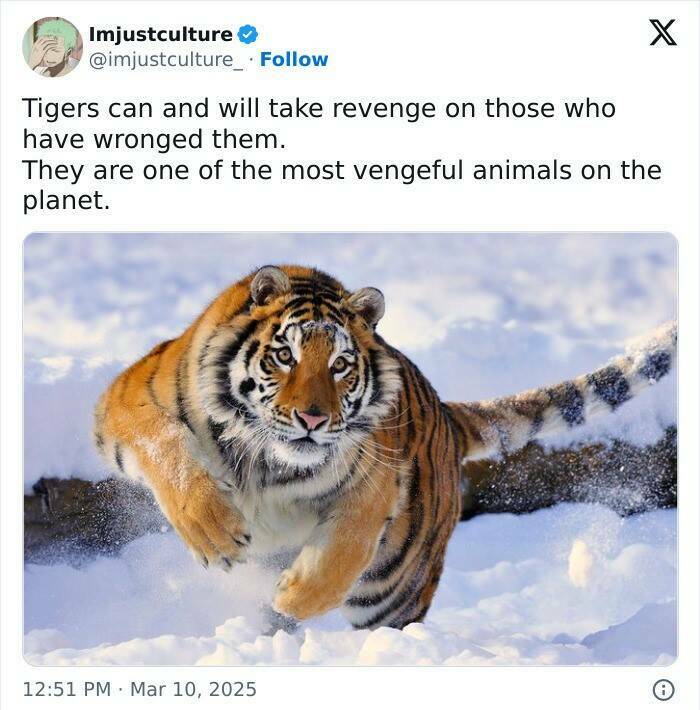 Enthralling Reads For The Wonder Seekers