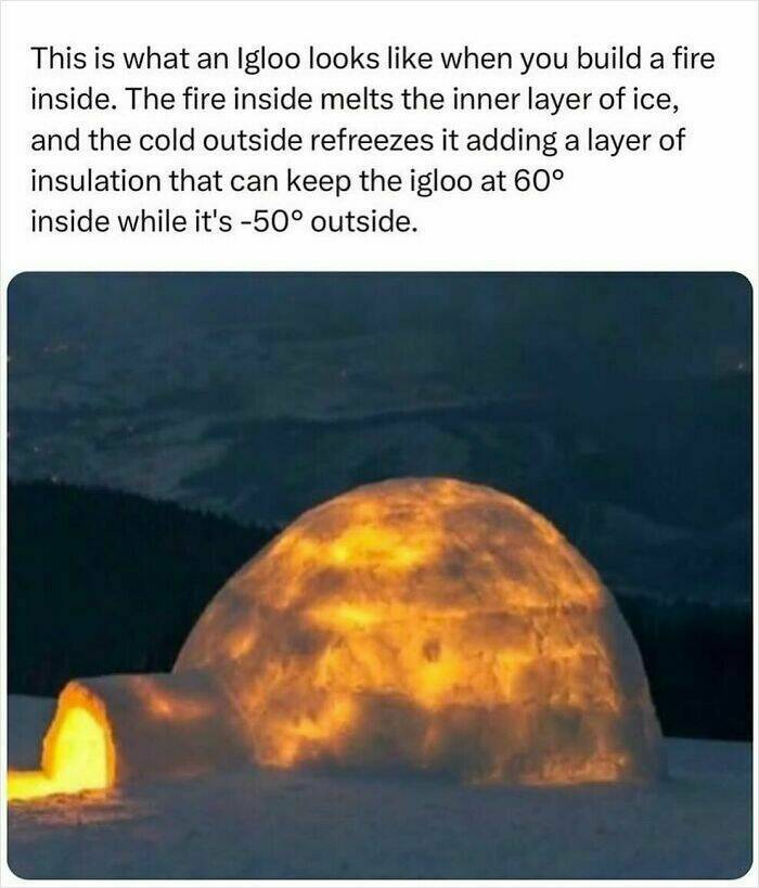 Enthralling Reads For The Wonder Seekers