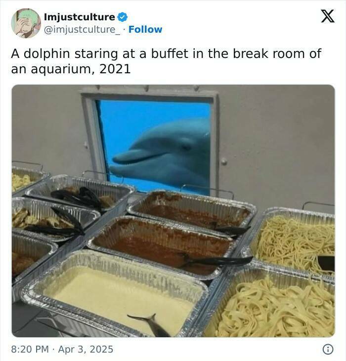 Enthralling Reads For The Wonder Seekers